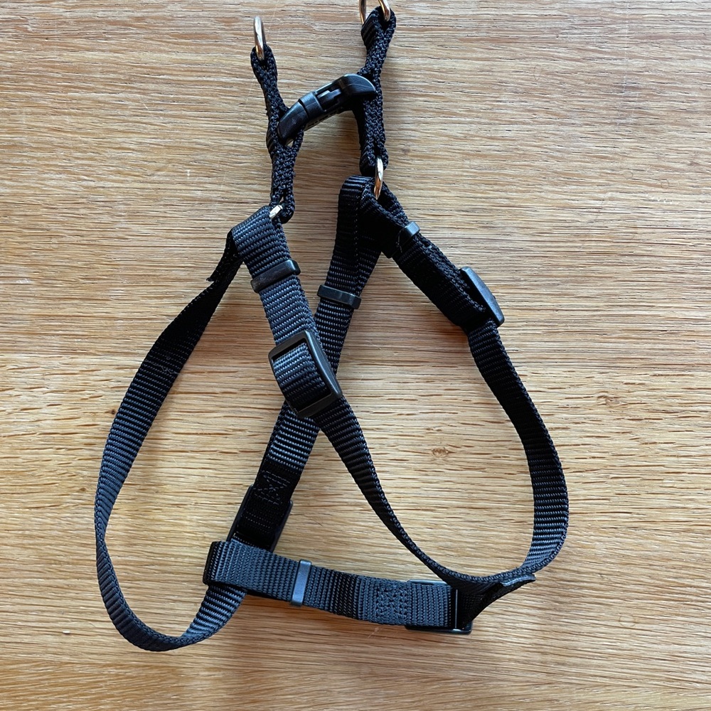Small Adjustable Black Dog Harness